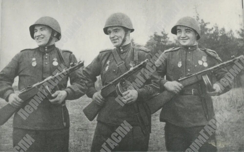 22-я сибирская добровольческая дивизия. Сибирская добровольческая. 22 рижская дивизия стрелковая. Сибирская добровольческая. Сибирский добровольческий корпус.