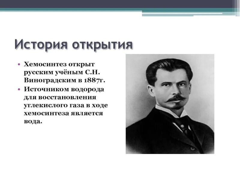 Виноградский в г
