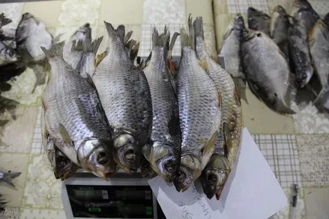 Продам вяленая рыба