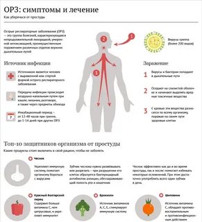 Как уберечься от простуды - 11.10.2016, Sputnik Казахстан