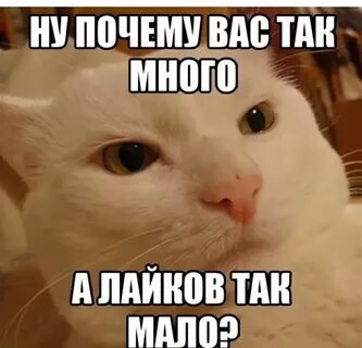 Потому что ты вообще какая то