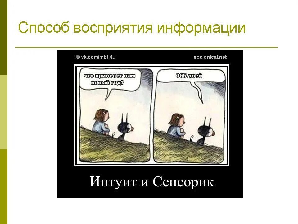 Этик экстраверт иррационал. Сенсорик и ИНТУИТ. Сенсоры и интуиты. Сенсорика и интуиция в соционике. Сенсорики и интуиты соционика.