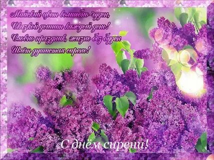 Открытка с днем рождения женщине сирень