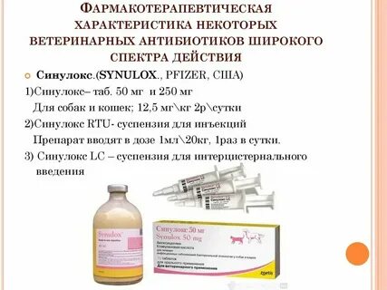 Можно ли котятам давать антибиотики