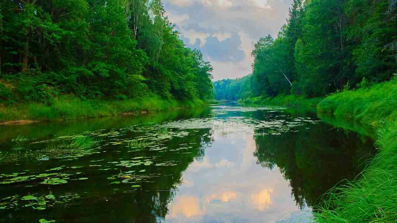 Керженский заповедник нижегородской области