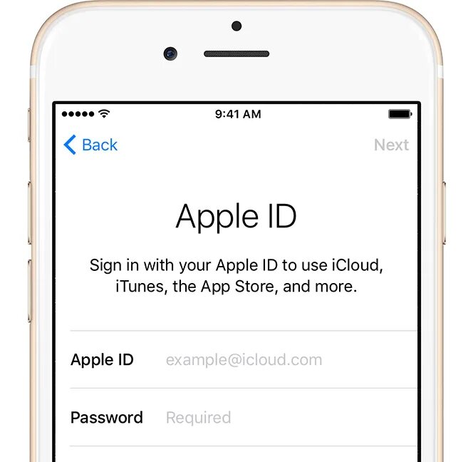 Appel id. Как выглядит Apple ID. Apple ID пример. Как должен выглядеть Apple ID. Apple ID образец.