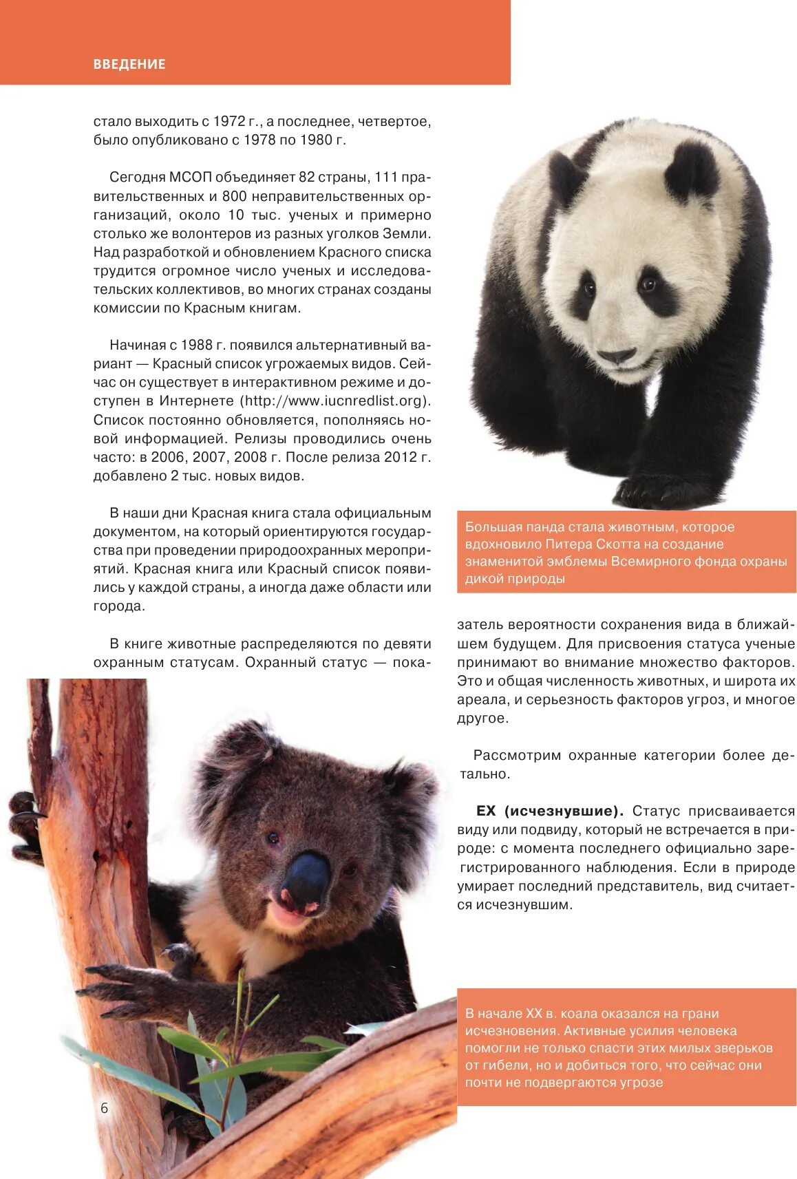 животное международной книги. суматранский носорог красная книга. суматранский носорог красная книга краткое описание. красная книга животных книга. животные из международной красной книги.