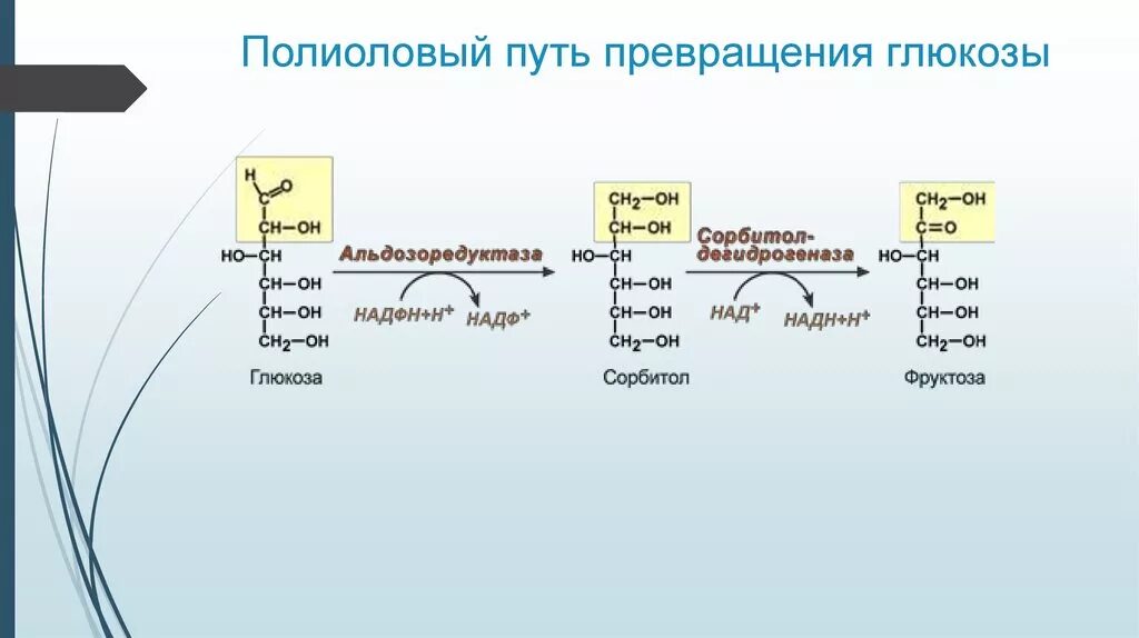 Путь преобразований. Сорбитоловый путь превращения глюкозы. полиоловый путь превращения глюкозы. полиольный путь утилизации глюкозы. реакция превращения глюкозы в сорбитол.