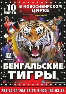 Афиша новосибирск на май 2024 год