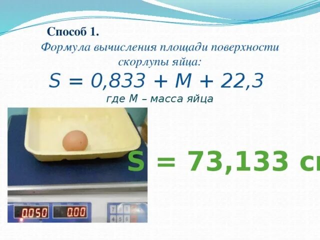 Вес куриной скорлупы. Объем яйца формула. Площадь поверхности яйца формула. Площадь куриного яйца. Вычисление поверхности яйца формула.