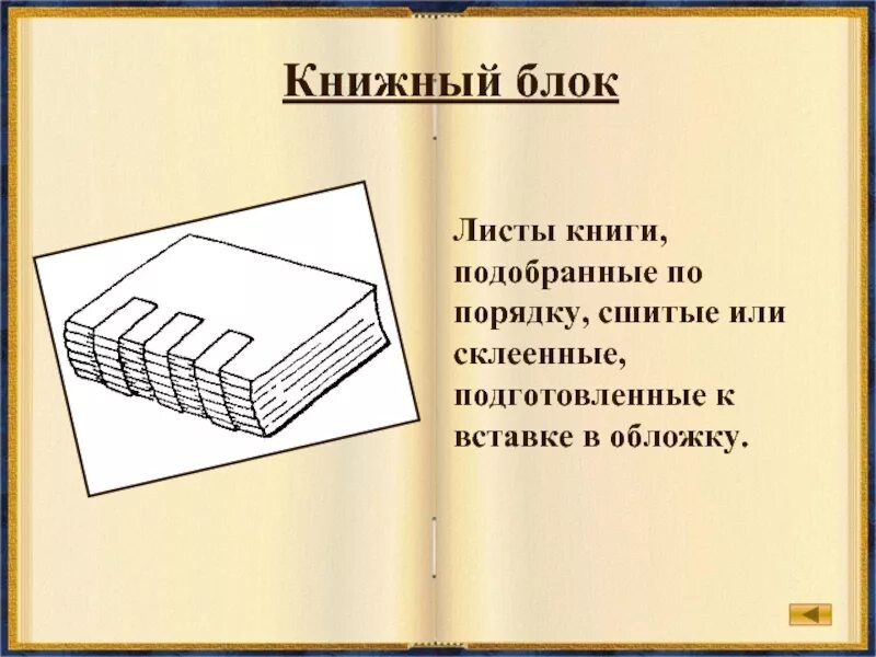 Сшитые листы книги 4 буквы. Книжный блок. тетради книжного блока. сшитый книжный блок. структура блок книги.