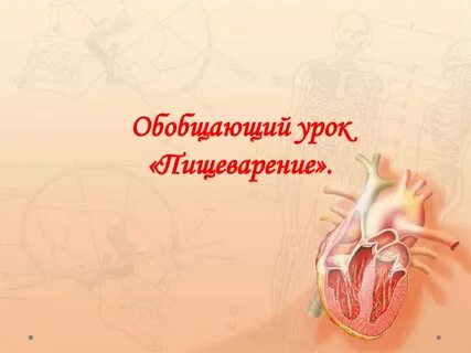 Р роль в организме
