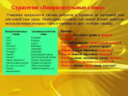 Составьте из следующих слов вопросы