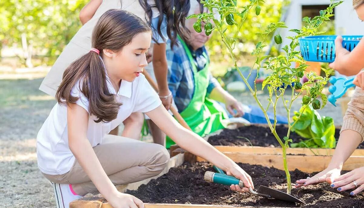 Children in the garden now. Огород для детей. Агрономия и садоводство. Огород для детей. Дети с букетом сток.