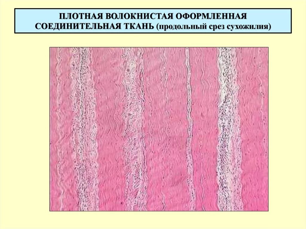 Плотный изображение
