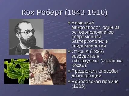 Кох открытия в биологии