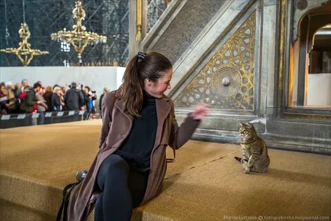 Королевские айя