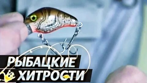 Рыба хорошо бравшая приманку перестала клевать