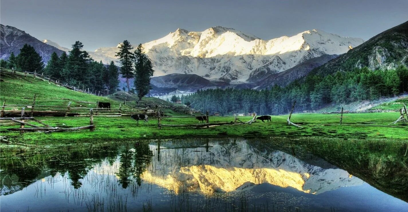 Долина Нилум, Пакистан. Fairy Meadows Пакистан. Фейри Медоуз в Пакистане. Гилгит-Балтистан. Is a beautiful area