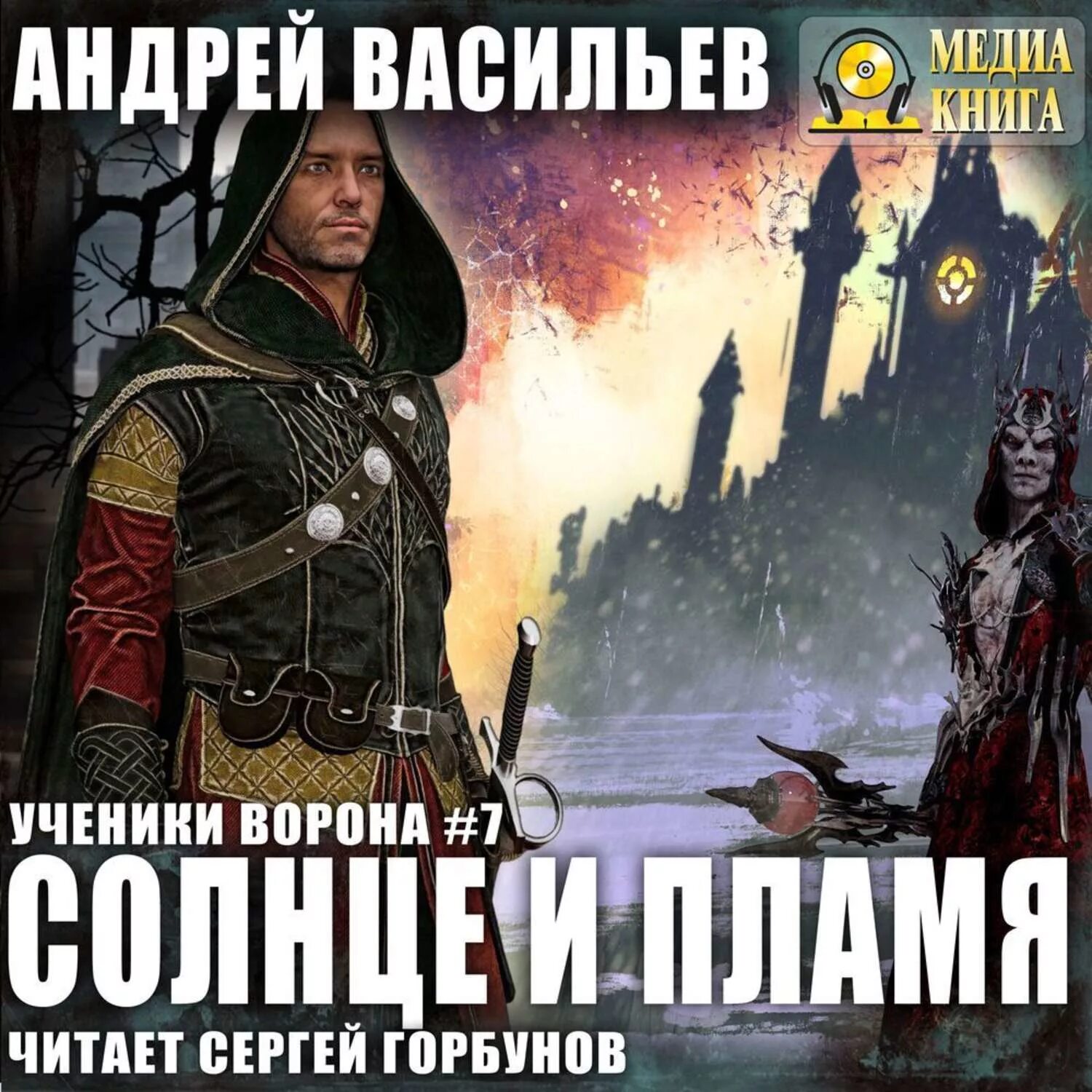 Книги андрея васильева. Андрей Васильев ученики ворона. Андрей Васильев «ученики ворона. Солнце и пламя». Солнце и пламя Андрей Васильев книга. Ученики ворона книга.