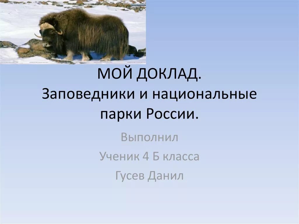 Охрана окружающей среды: Заповедники России