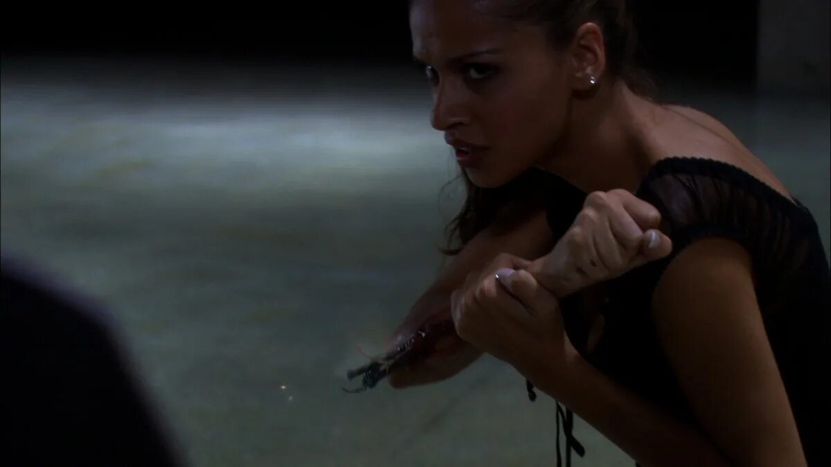 Forbidden science. Запретная наука сериал 2009. Forbidden science. Запретная наука на телеканале русская ночь. Forbidden science 2009 смотреть онлайн.