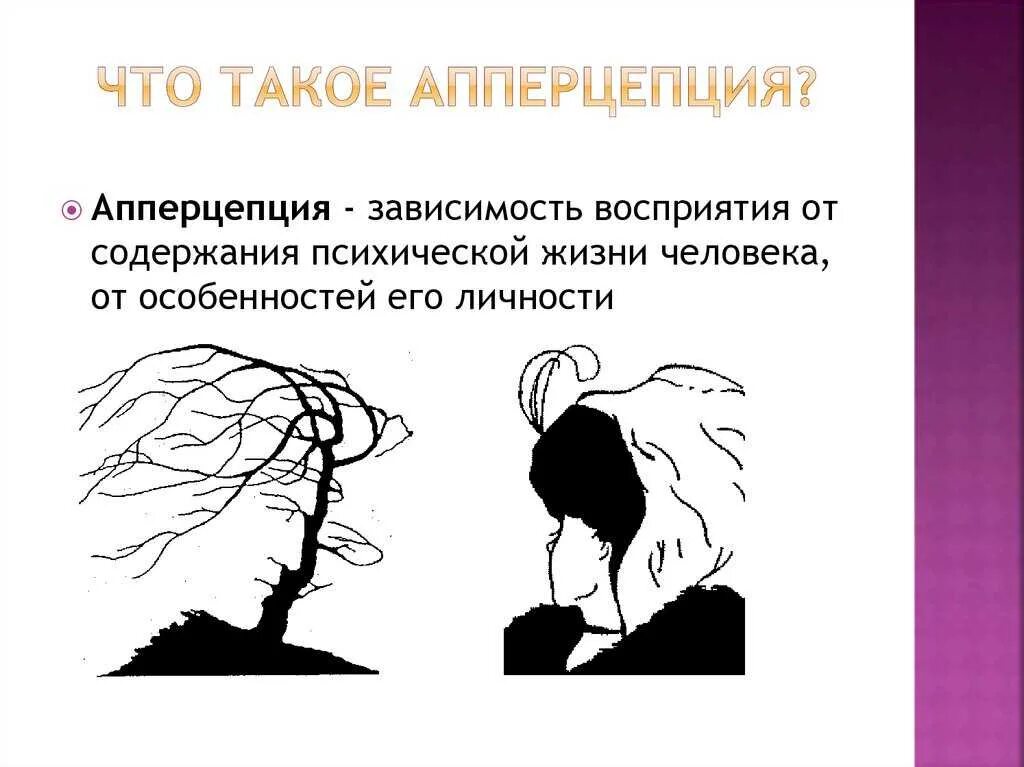 Перцептивный это простыми