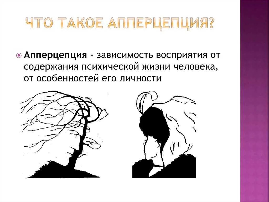 Как человек воспринимает искусство. Апперцепция. Апперцепция восприятия. Свойства восприятия апперцепция. Апперцепция (зависимость восприятия от личности)..