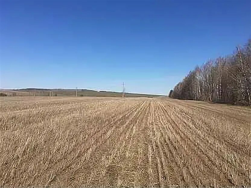 Земля рт. Земля рт. Поселок приволжский казань. Конь пестречинский район. Сосновый бор татарстан пестрецы.