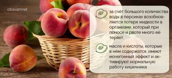 Какие фрукты можно после отравления. Фрукты при отравлении. фрукты после отравления. яблоки при интоксикации. яблоки при диарее.
