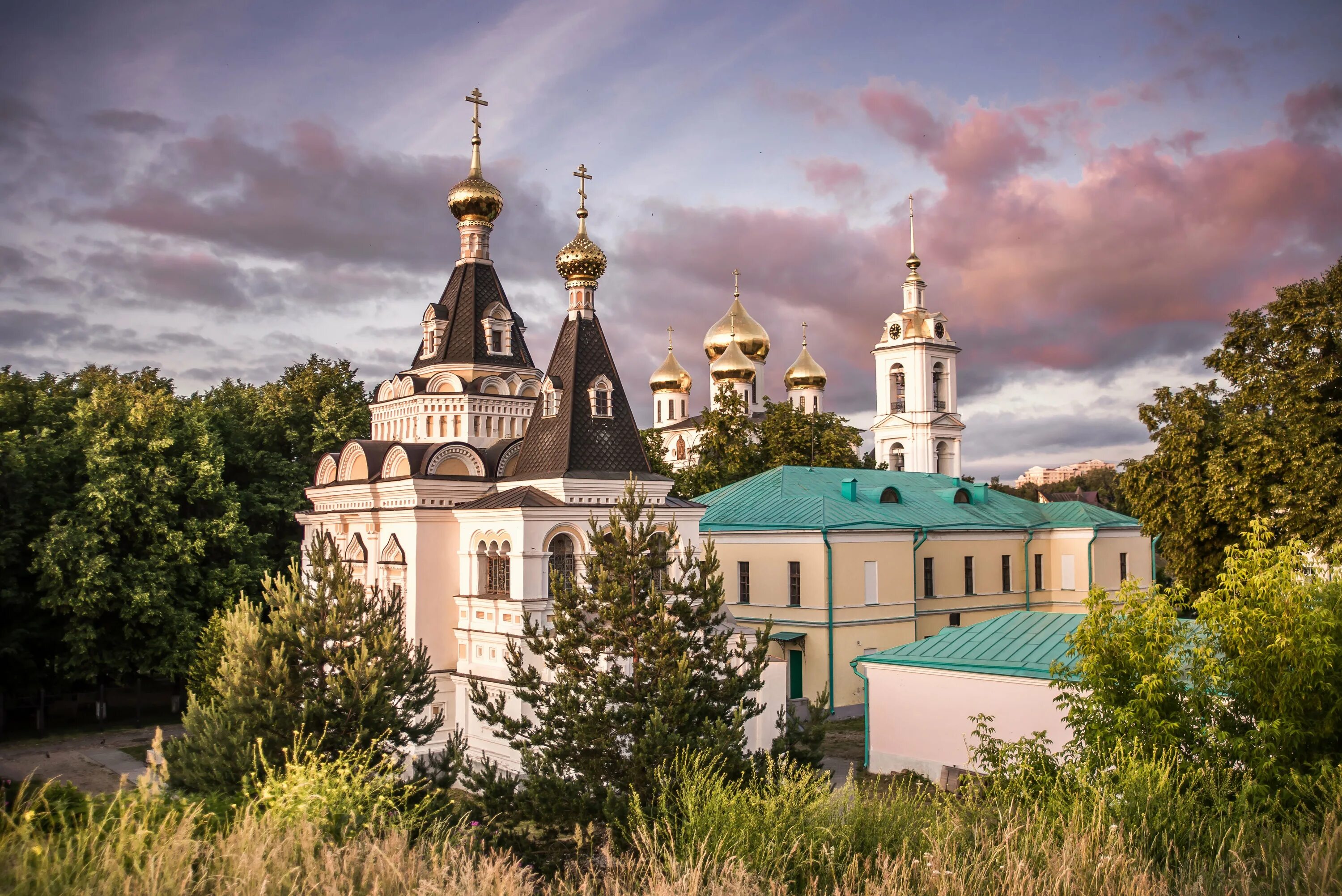 Дмитровское московская обл