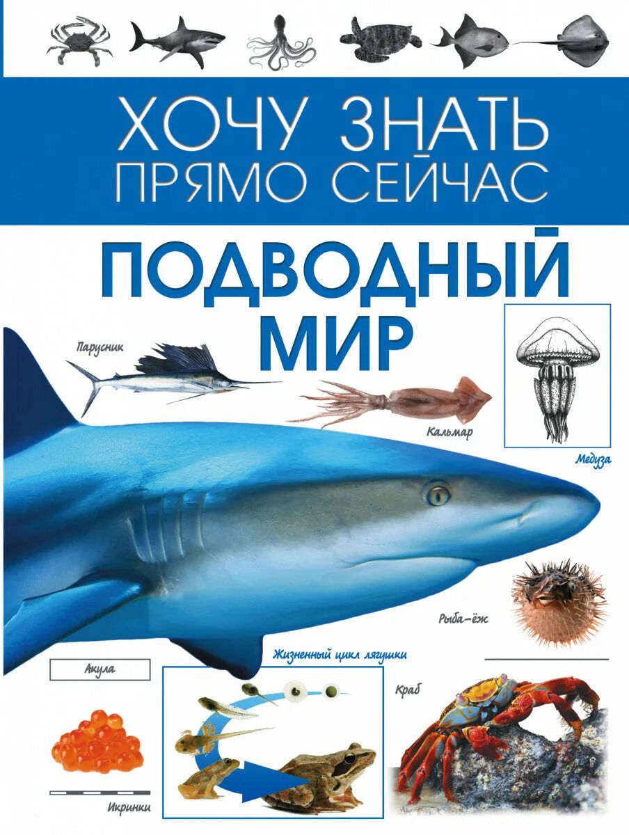 Книга морские обитатели. Книга про морских обитателей. Большая детская энциклопедия | родригес кармен. Морские обитатели популярная детская энциклопедия владис. Книга морские обитатели.