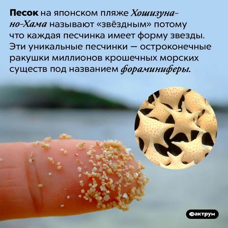 Потому что это уникально. Цитаты что говорят мужчины. Потому что это уникально. Я уникален потому что. Потому что это уникально.