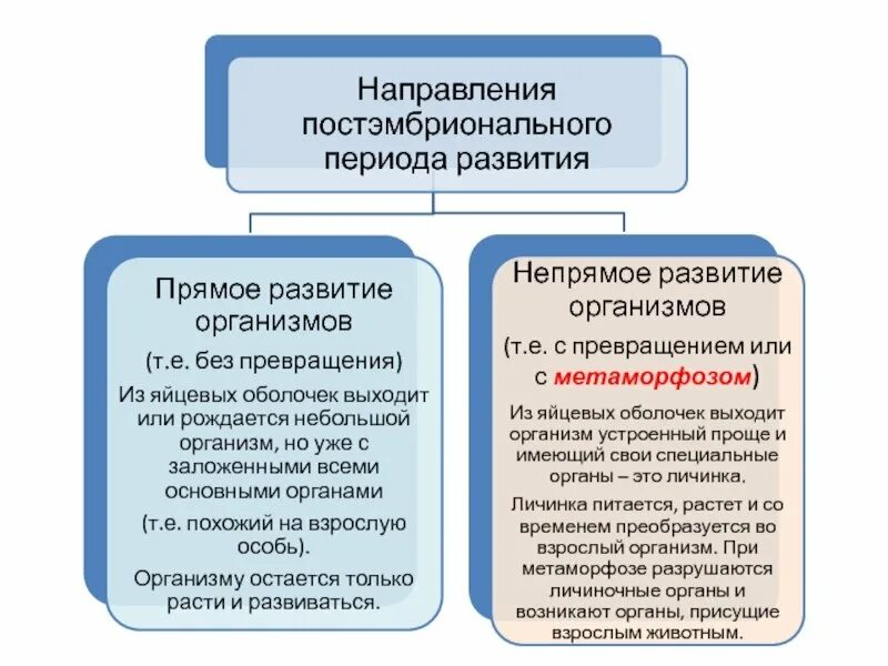 Постэмбриональное развитие прямое и Непрямое примеры. Виды постэмбрионального развития прямое и Непрямое развитие. Прямой и непрямой типы постэмбрионального развития. Непрямое постэмбриональное развитие схема.