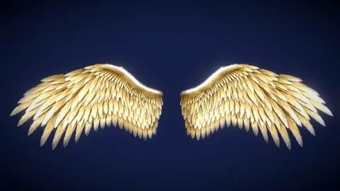 Golden wings