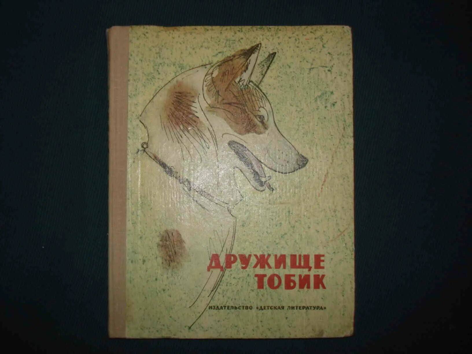 Текст тобик. Паустовский дружище тобик. Паустовский дружище тобик. Текст тобик. Текст тобик.
