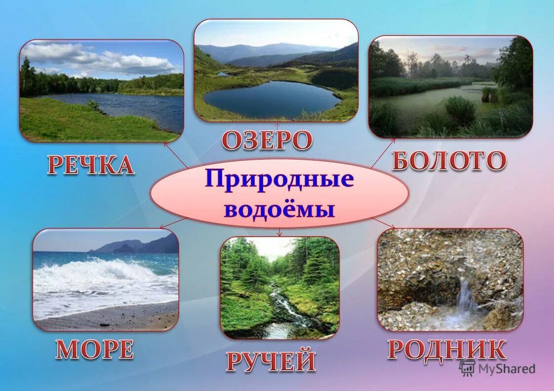 Чем озера отличаются от рек. Виды водоемов. Природные водоемы название. Естественные водоемы. Водоёмы реки моря озёра.