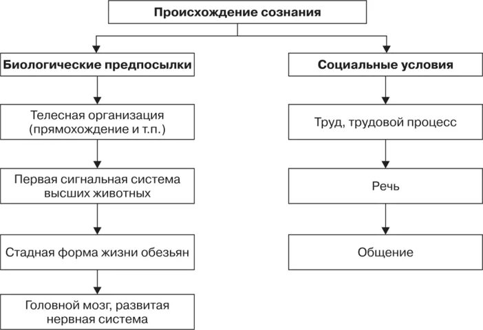 Биологические предпосылки возникновения сознания. Биологические и социальные предпосылки формирования сознания. Происхождение сознания в философии схема. Предпосылки возникновения сознания и его социальная сущность.. Природно биологического происхождения