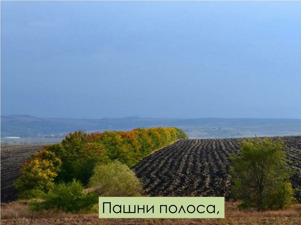 На пашне полоса пашня. На пашне полоса что означает. Пашна садыпридоние.