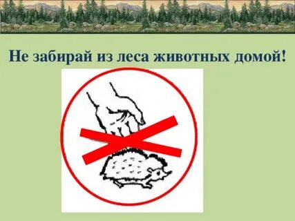 Нельзя забирать