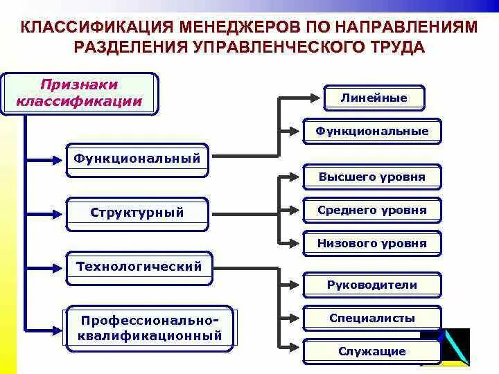 Функции управления разделение управленческого труда