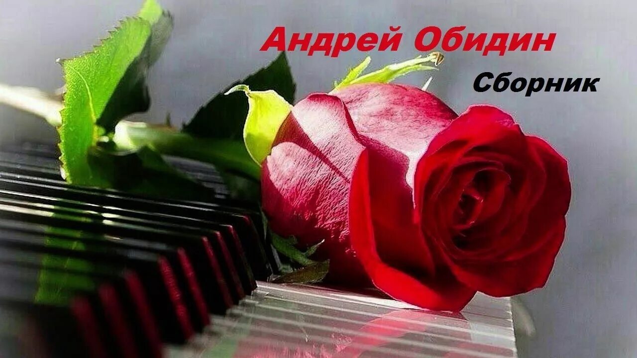 Музыка души обидин. Музыка души обидин. Наша нежность. Музыка души обидин. Музыка души обидин.
