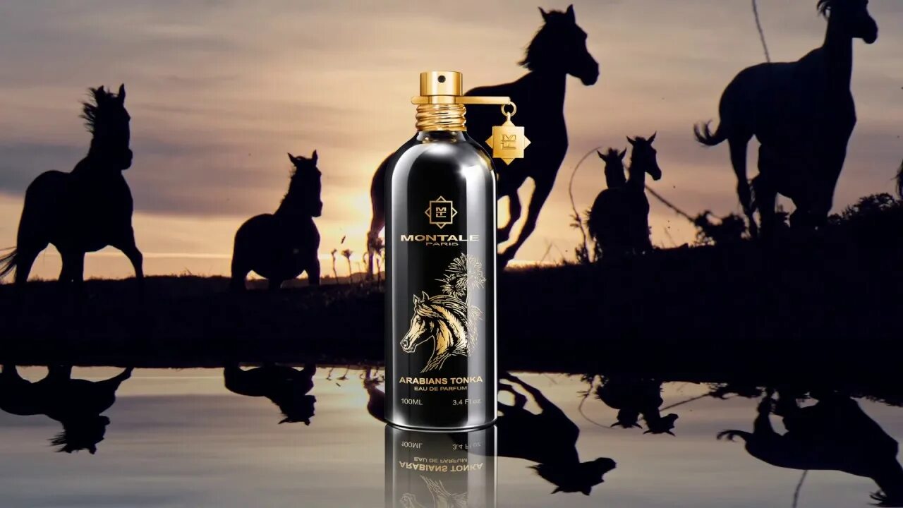 Арабиан тонка. Арабиан тонка. Арабиан тонка. Арабиан тонка. Montale arabians tonka 20ml.