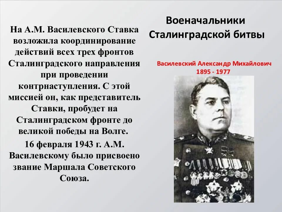 Маршал василевский сражение в районе луги. Командующий фронтом Сталинградской битвы. Сталинградская битва командиры Шумилова. Сталинградская битва (30 декабря 1942- 2 февраля 1943).