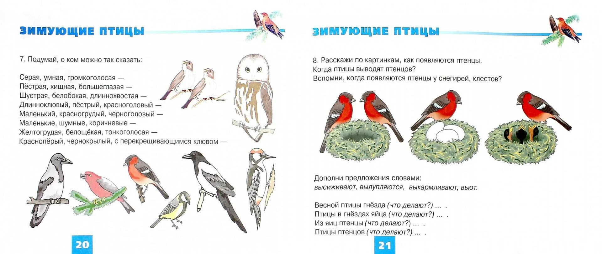Конспект развитие речи зимующие птицы подготовительная группа. Задания на тему зимующие птицы для детей 5-6 лет. зимующие птицы задания логопеда. зимующие птицы задания для детей дошкольного возраста. зимующие птицы задания для дошкольников логопед.