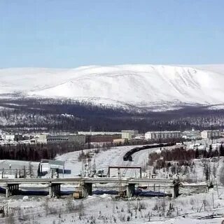 Салехард лабытнанги харп