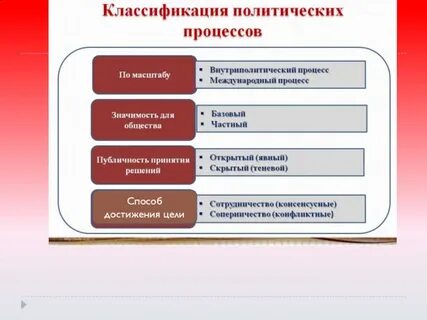 Цели политических процессов