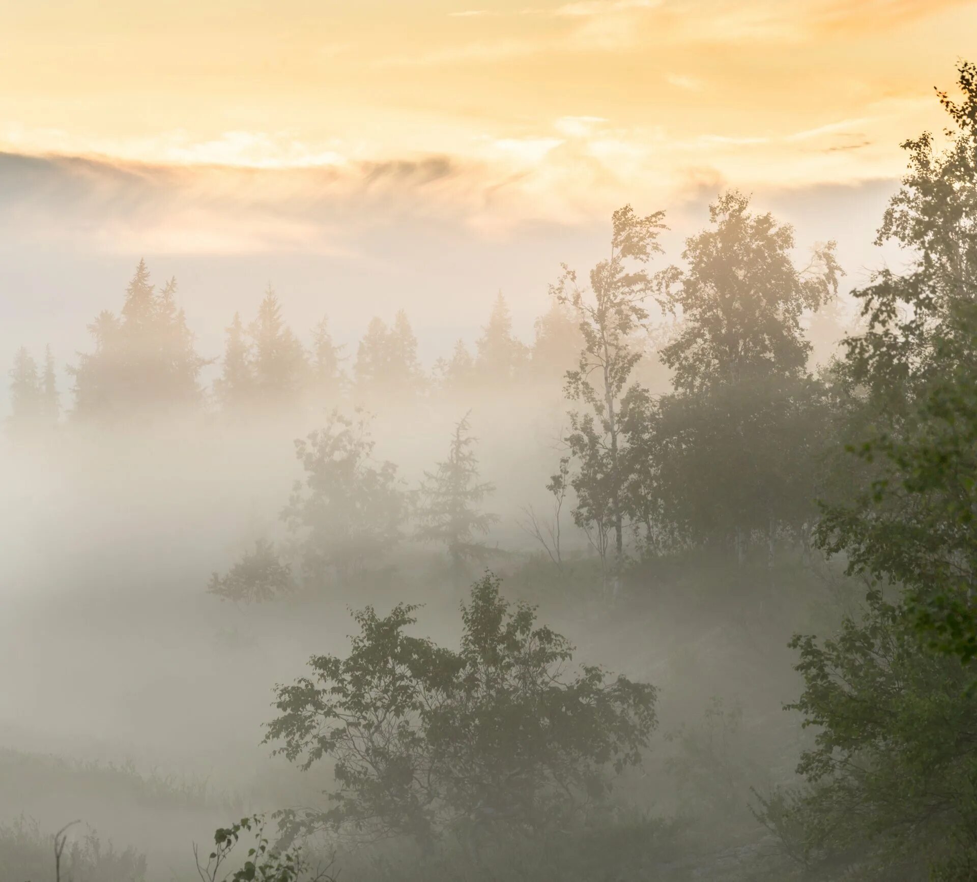 Утро состояния природы. Утренний туман. Рассвет туман. Туман картинки. Утро туман.