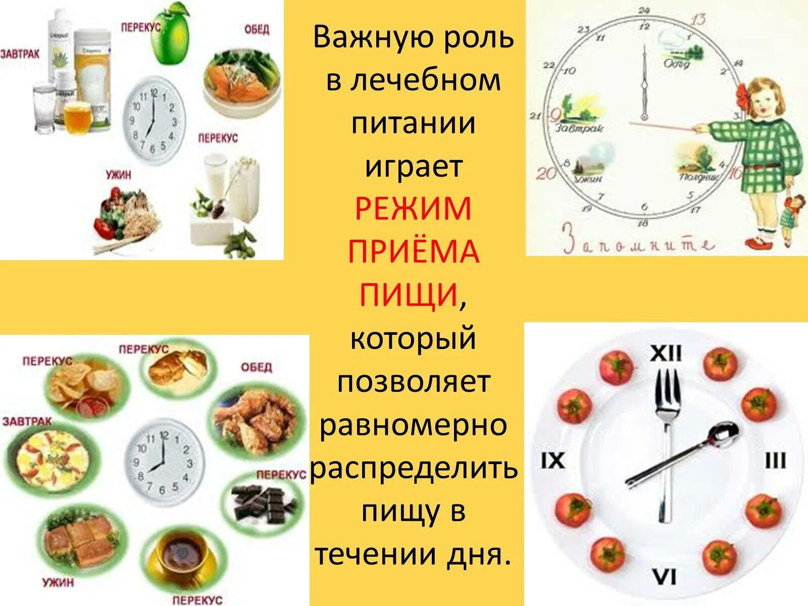 Как питаться в течении дня