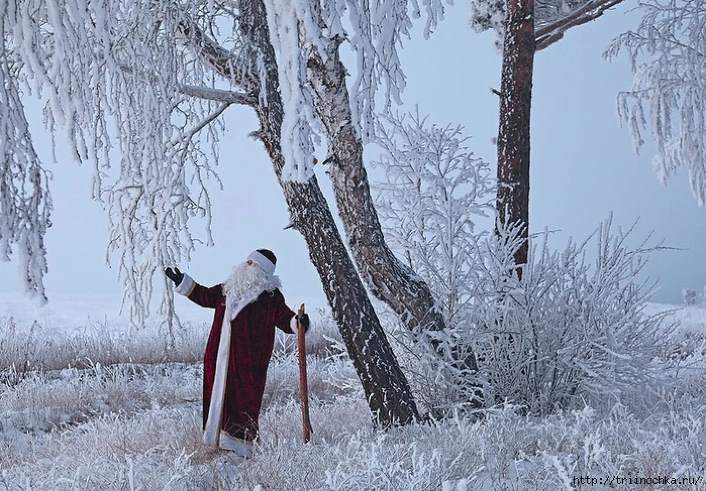 Грустный новый год. Дед мороз идет чуть слышно чтоб. Дед мороз в зимнем лесу. В защиту деда мороза агния барто. Шёл по лесу дед мороз.